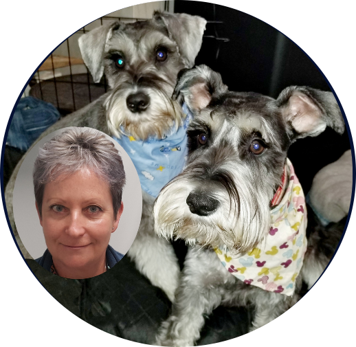 HealthyDogPath